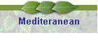 Mediteranean